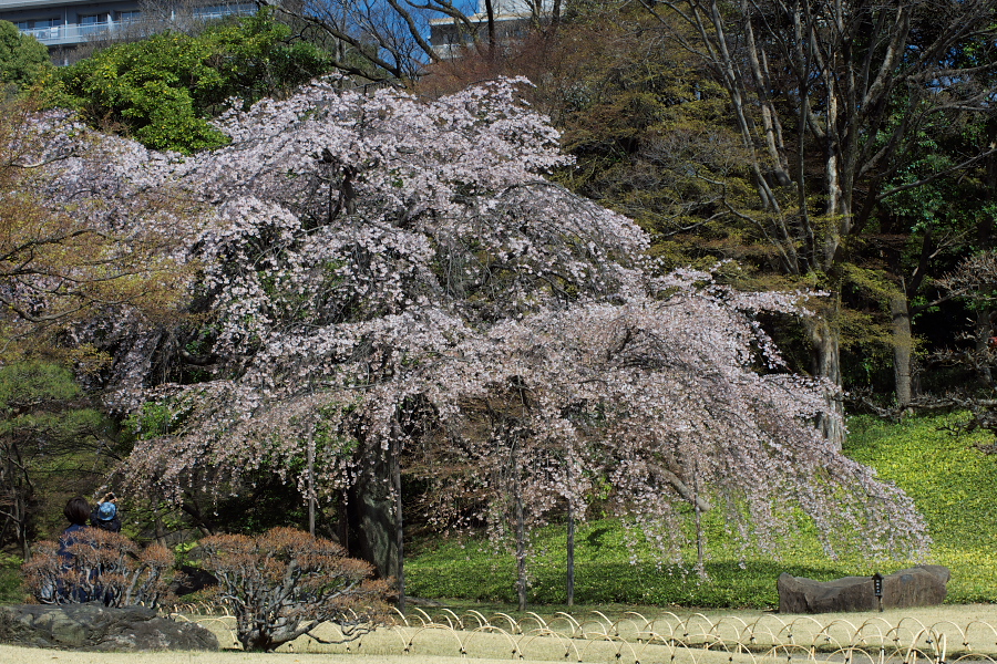 IMGP9316.jpg(644318 byte)