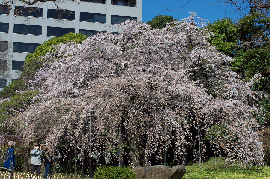 IMGP9323.jpg(650037 byte)