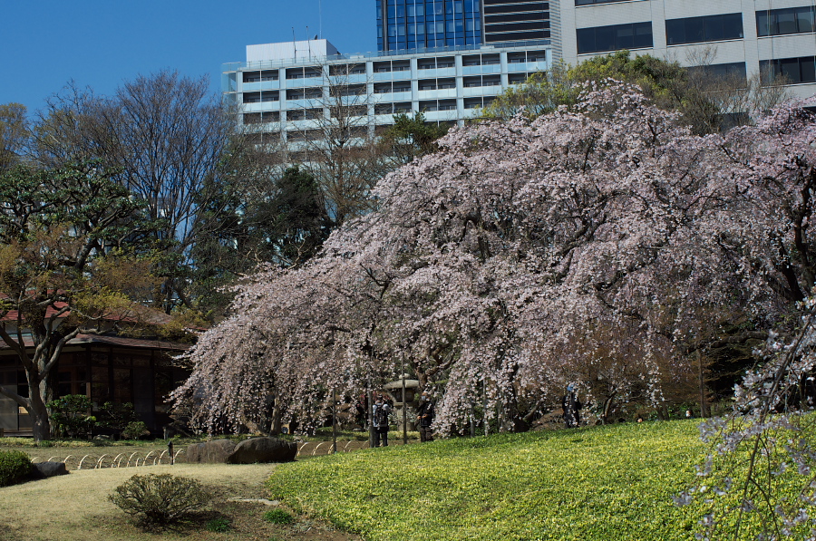 IMGP9326.jpg(597574 byte)