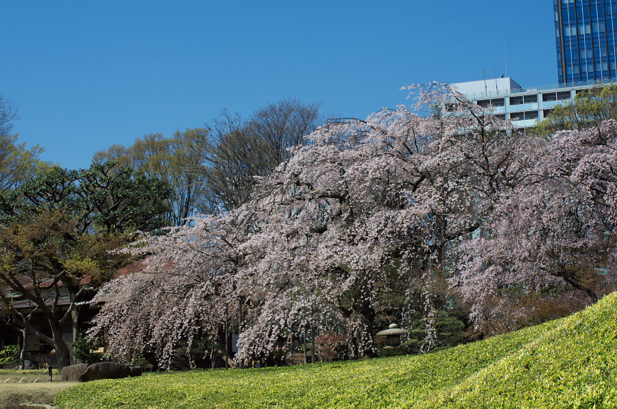 IMGP9347.jpg(514041 byte)