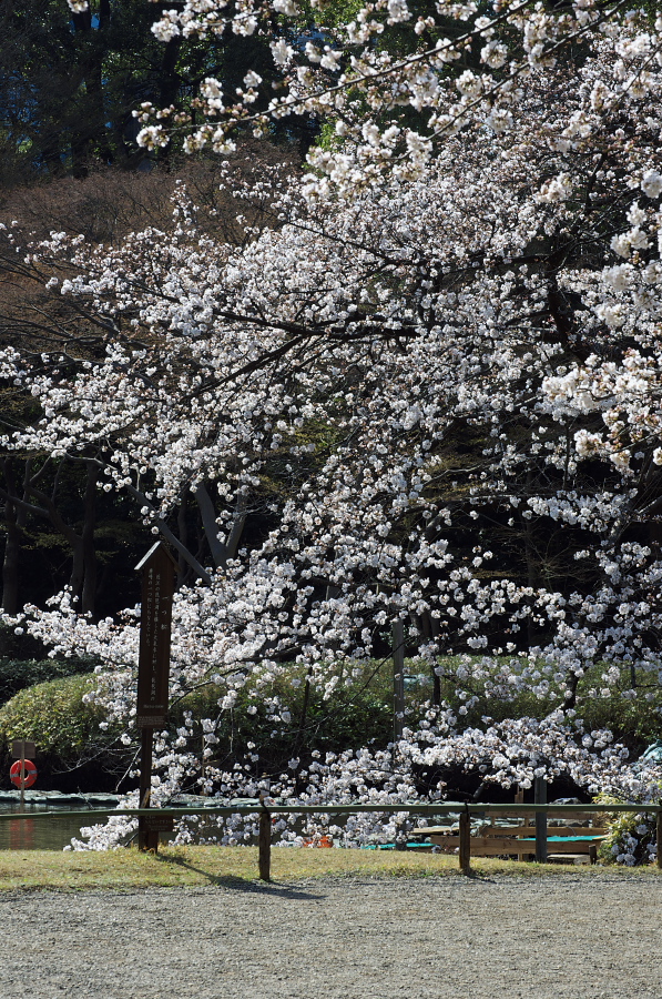 IMGP9353.jpg(625725 byte)