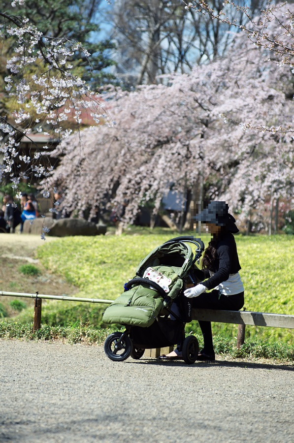 IMGP9361.jpg(322198 byte)