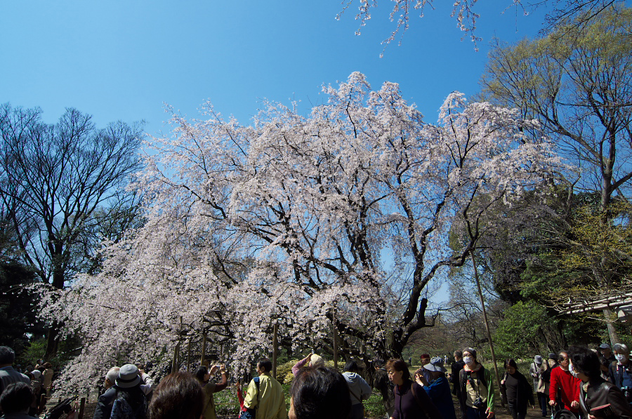 IMGP9463.jpg(539646 byte)