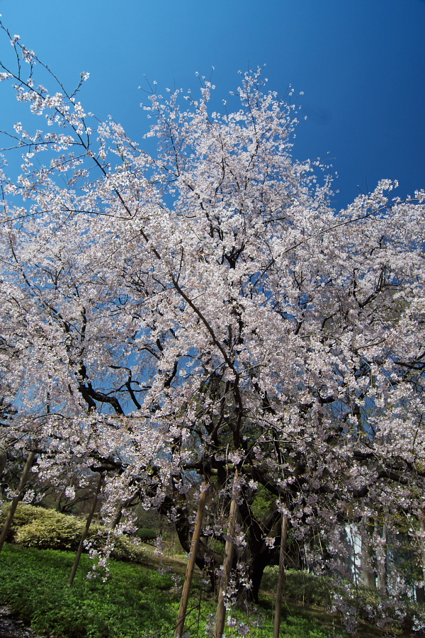 IMGP9470.jpg(578253 byte)