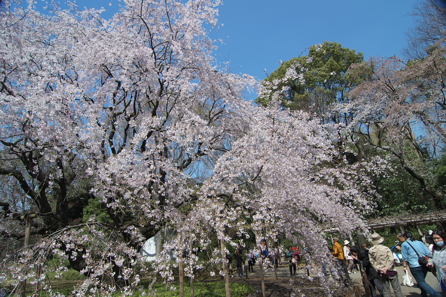 IMGP9494.jpg(635495 byte)