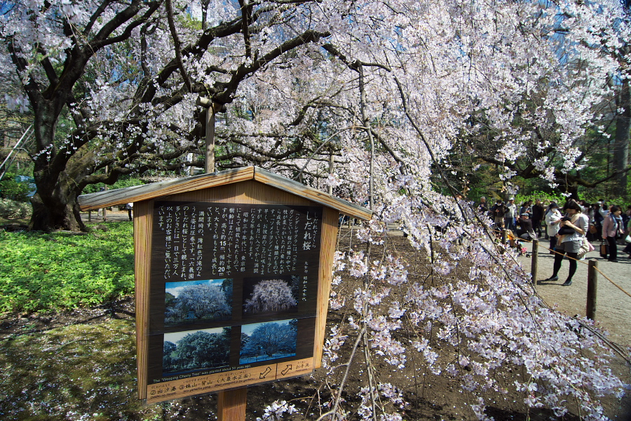 IMGP9504.jpg(660491 byte)