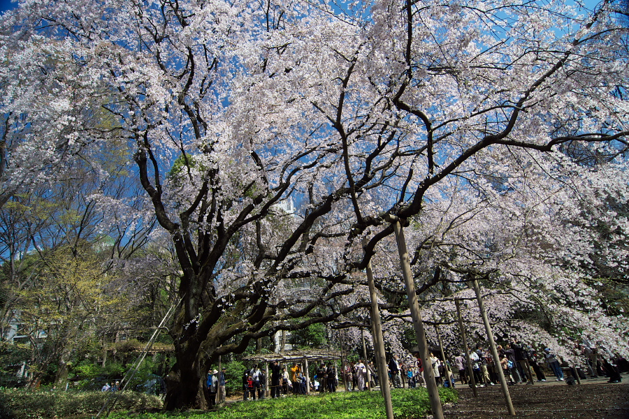 IMGP9508.jpg(705873 byte)