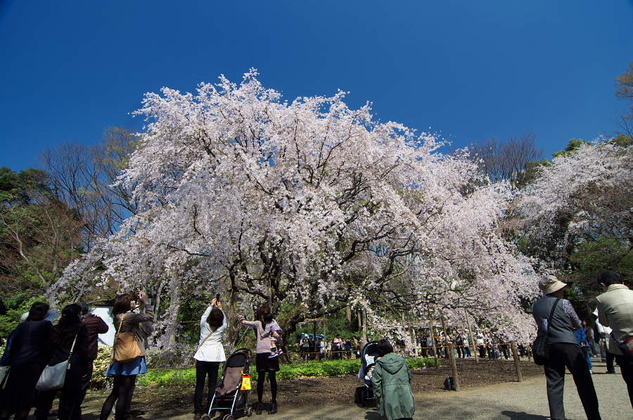 IMGP9563.jpg(475434 byte)