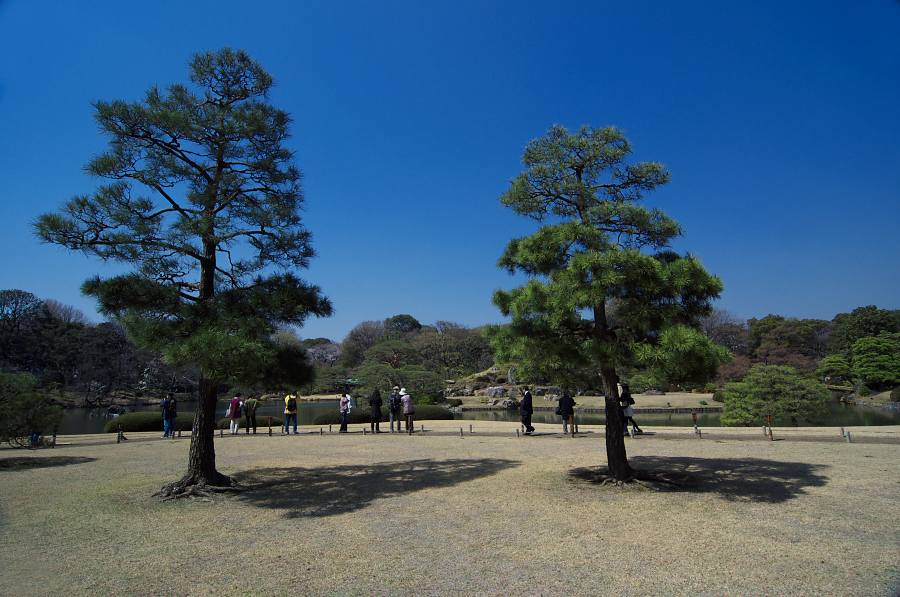 IMGP9580.jpg(355129 byte)