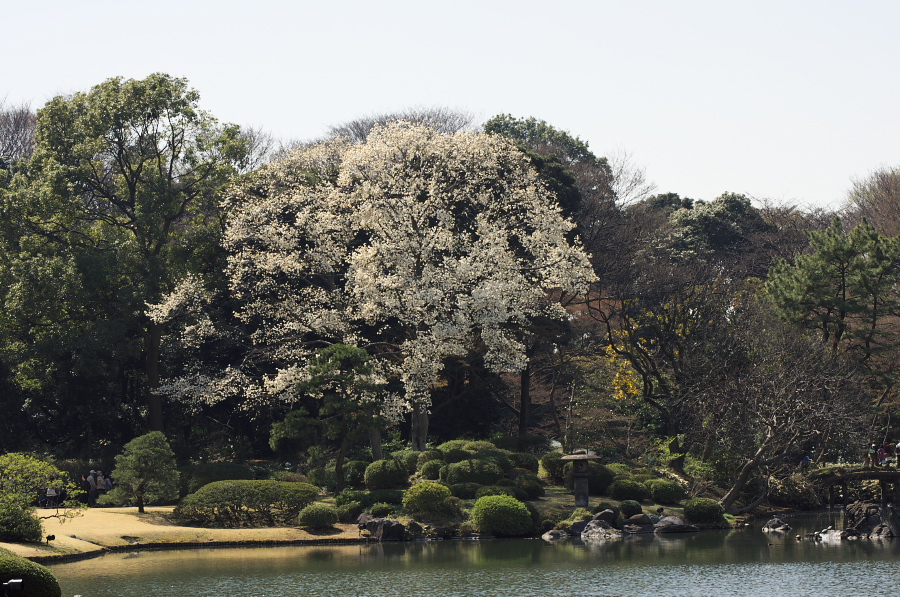 IMGP9584.jpg(430686 byte)