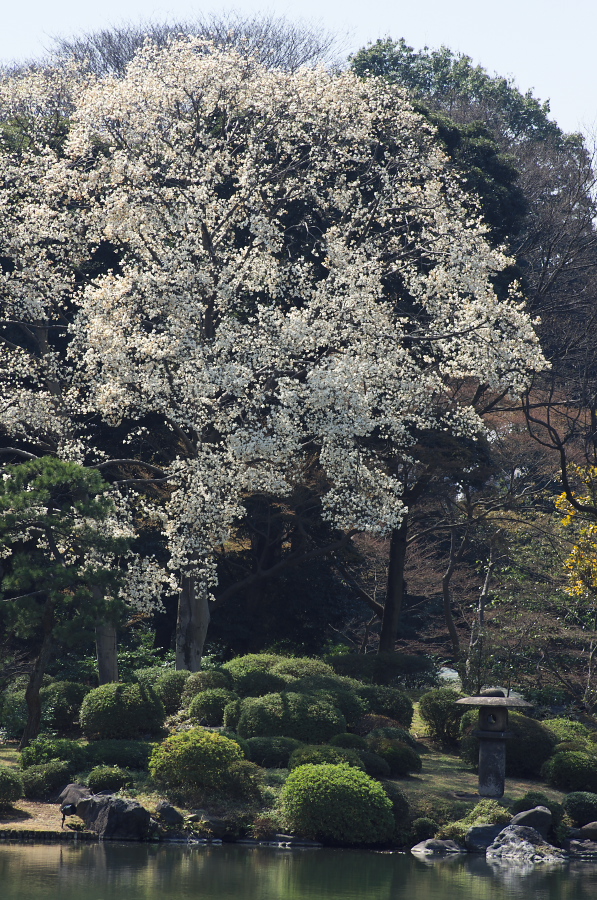 IMGP9589.jpg(545536 byte)