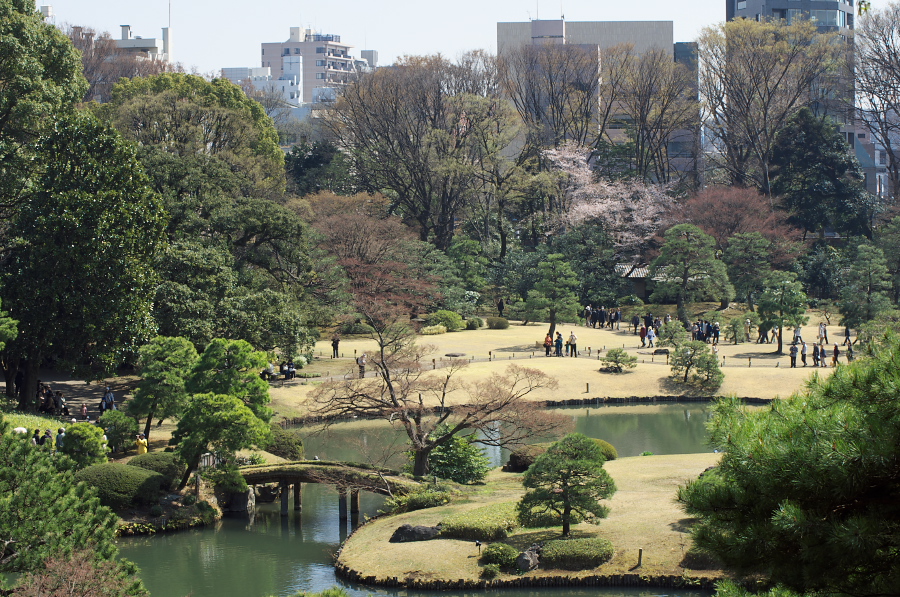 IMGP9598.jpg(521501 byte)