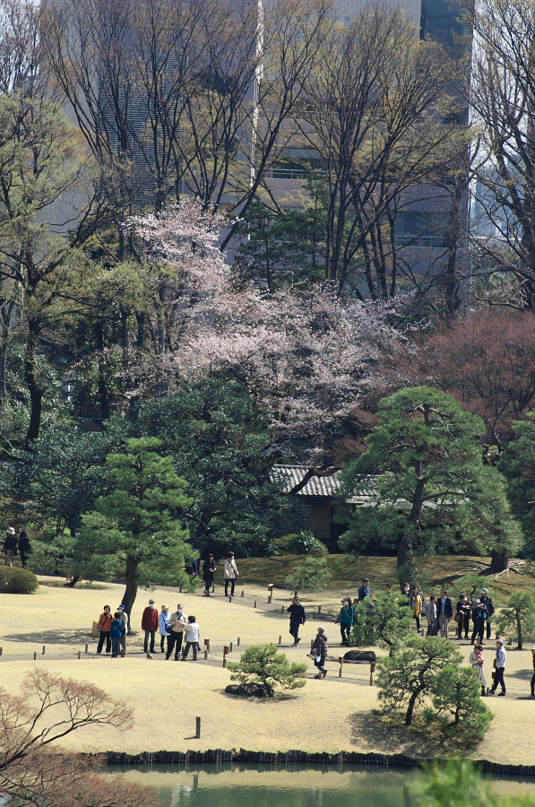 IMGP9600.jpg(558414 byte)