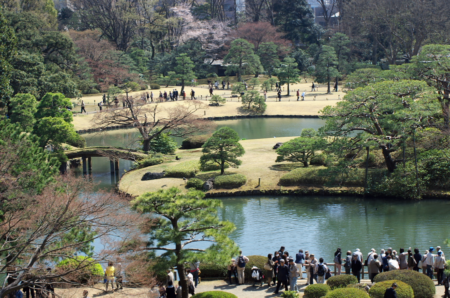 IMGP9604.jpg(590281 byte)