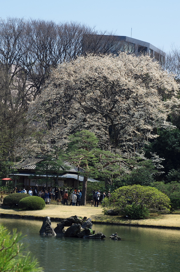 IMGP9610.jpg(504830 byte)