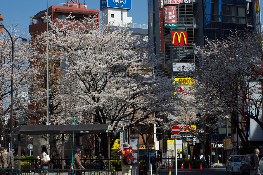 IMGP9622.jpg(576749 byte)