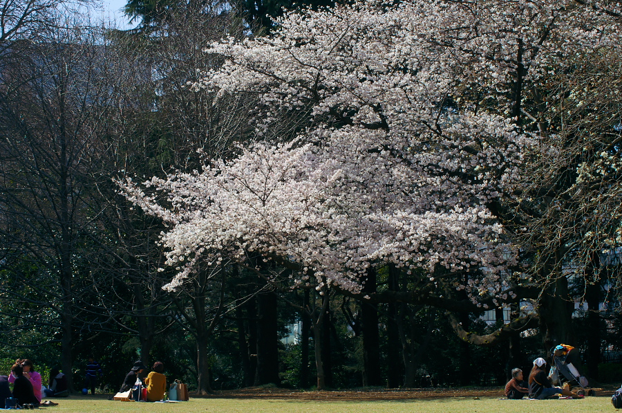 IMGP9628.jpg(621301 byte)