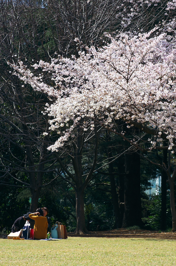 IMGP9632.jpg(567443 byte)