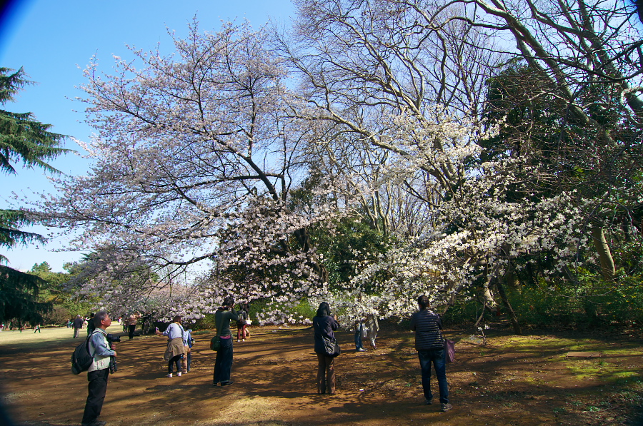 IMGP9644.jpg(675637 byte)