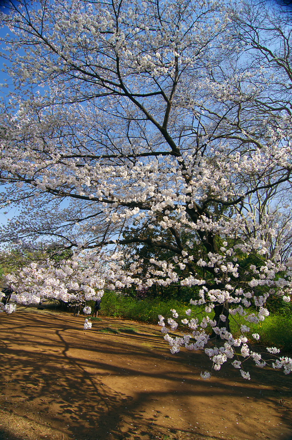 IMGP9654.jpg(714005 byte)