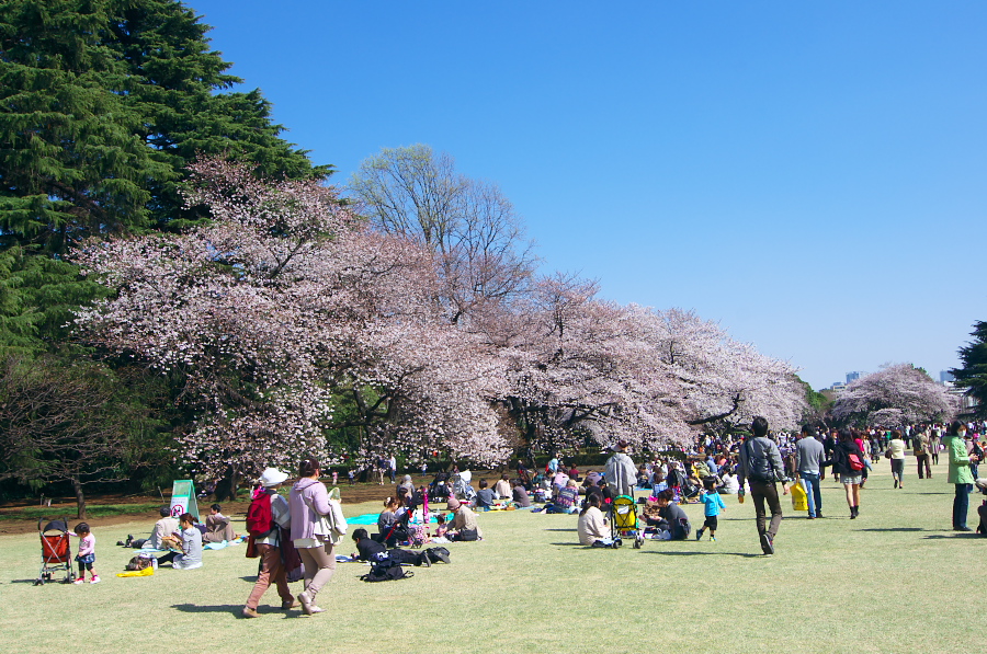 IMGP9655.jpg(464541 byte)