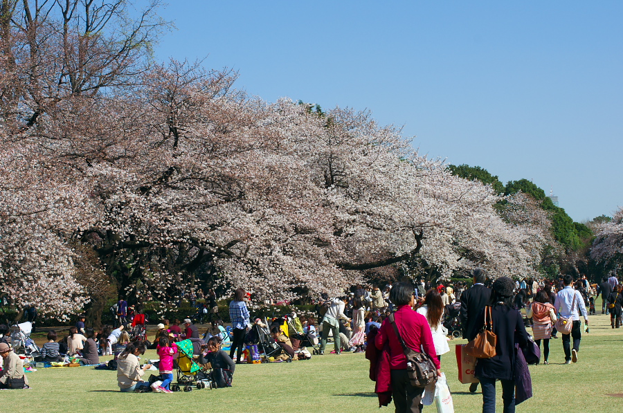 IMGP9672.jpg(529109 byte)