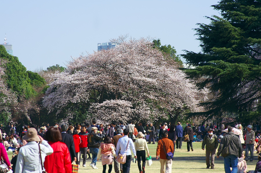 IMGP9675.jpg(479042 byte)