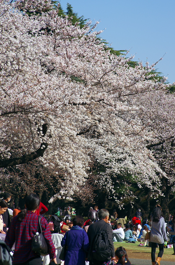 IMGP9707.jpg(608014 byte)