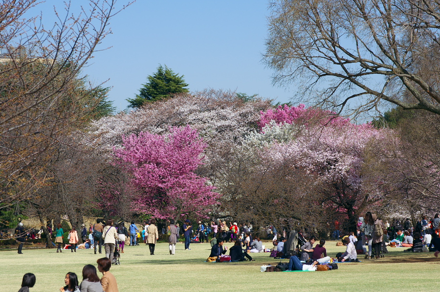 IMGP9738.jpg(558338 byte)