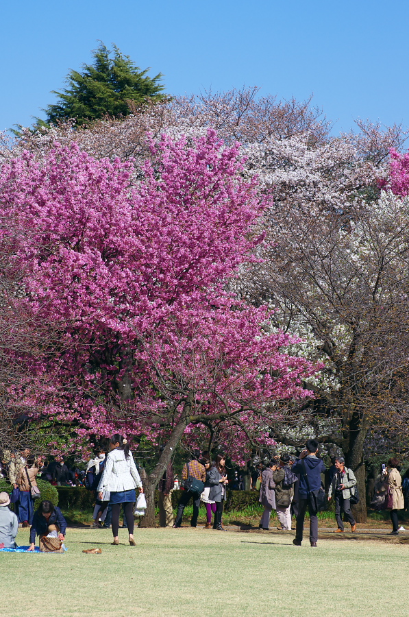 IMGP9755.jpg(581817 byte)