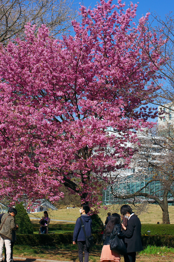 IMGP9767.jpg(731152 byte)