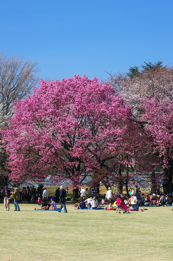 IMGP9780.jpg(523034 byte)