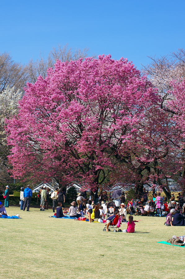 IMGP9797.jpg(576652 byte)