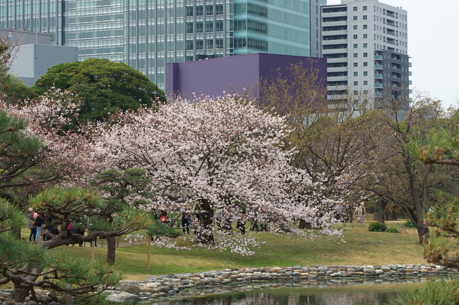 IMGP0002.jpg(508598 byte)