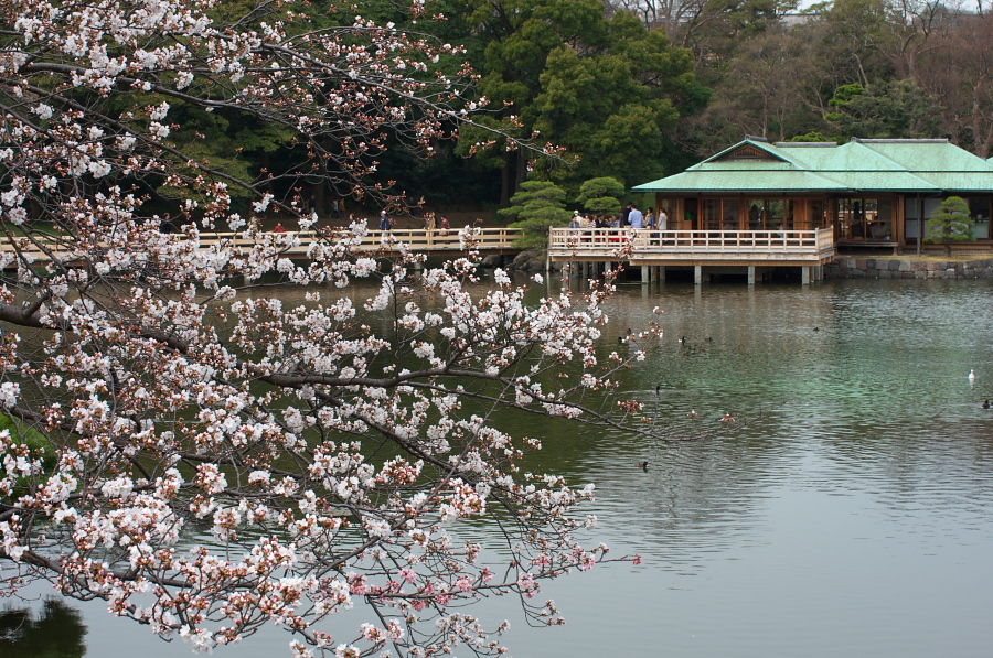 IMGP0012.jpg(553365 byte)