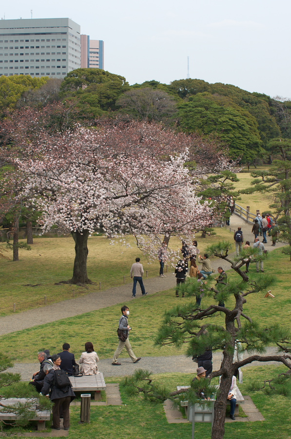 IMGP0014.jpg(467227 byte)