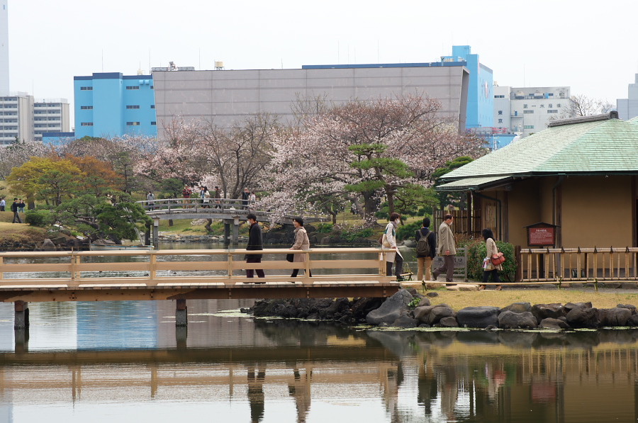 IMGP0017.jpg(351822 byte)