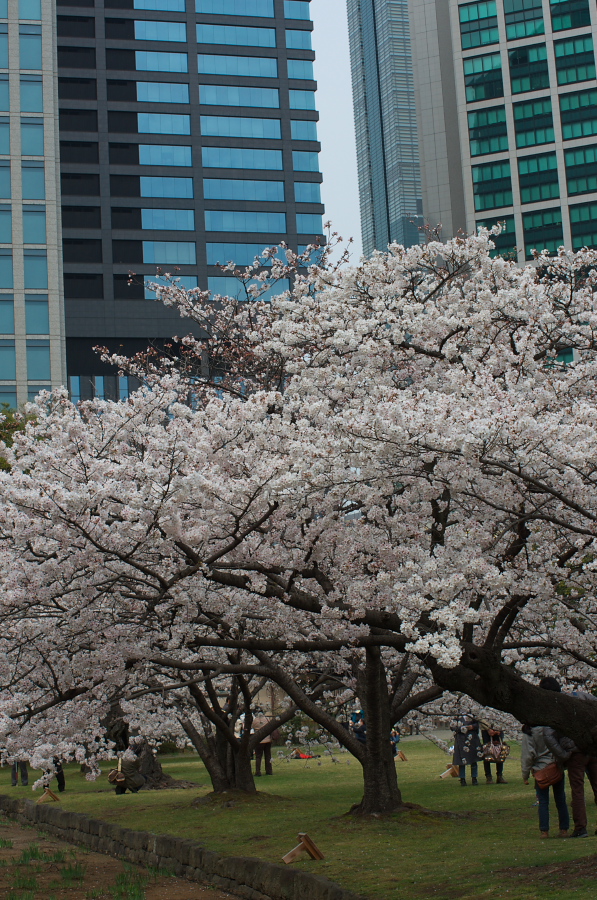 IMGP0025.jpg(489163 byte)