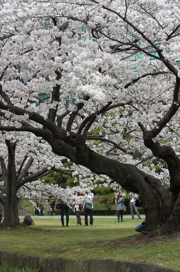 IMGP0047.jpg(553349 byte)