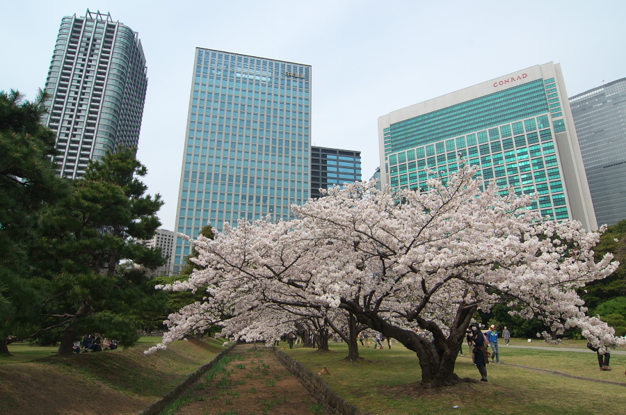 IMGP0053.jpg(435318 byte)