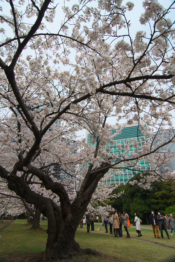 IMGP0078.jpg(579041 byte)