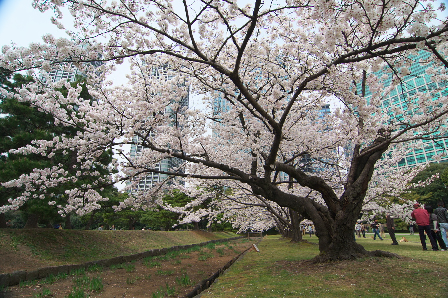 IMGP0094.jpg(608055 byte)