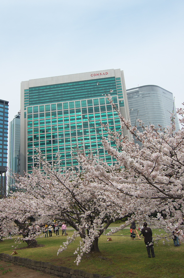 IMGP0105.jpg(423640 byte)