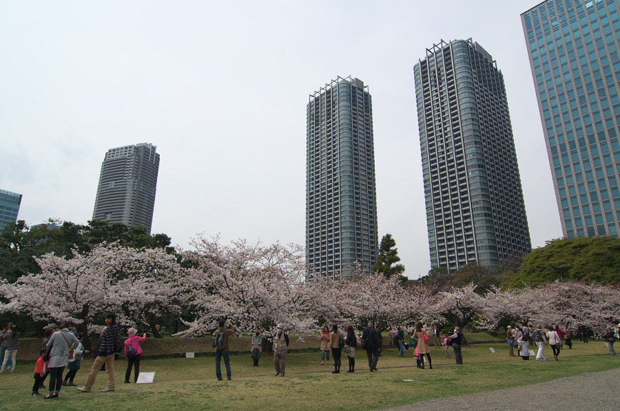 IMGP0108.jpg(364760 byte)