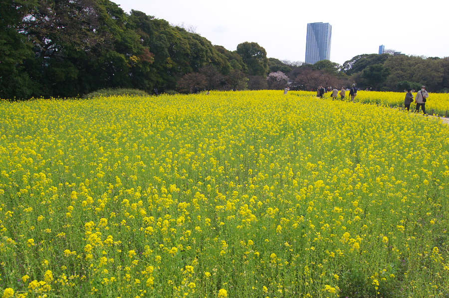 IMGP9898.jpg(588368 byte)