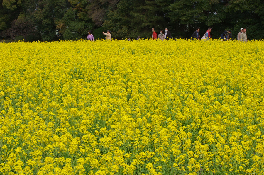 IMGP9926.jpg(617467 byte)