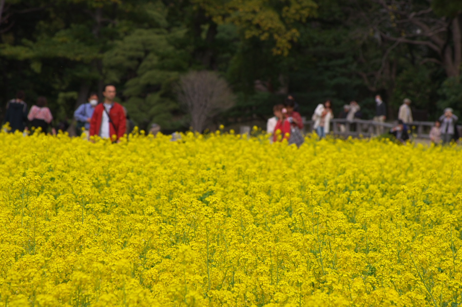 IMGP9929.jpg(384417 byte)