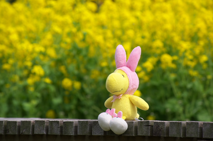 IMGP9948.jpg(214359 byte)