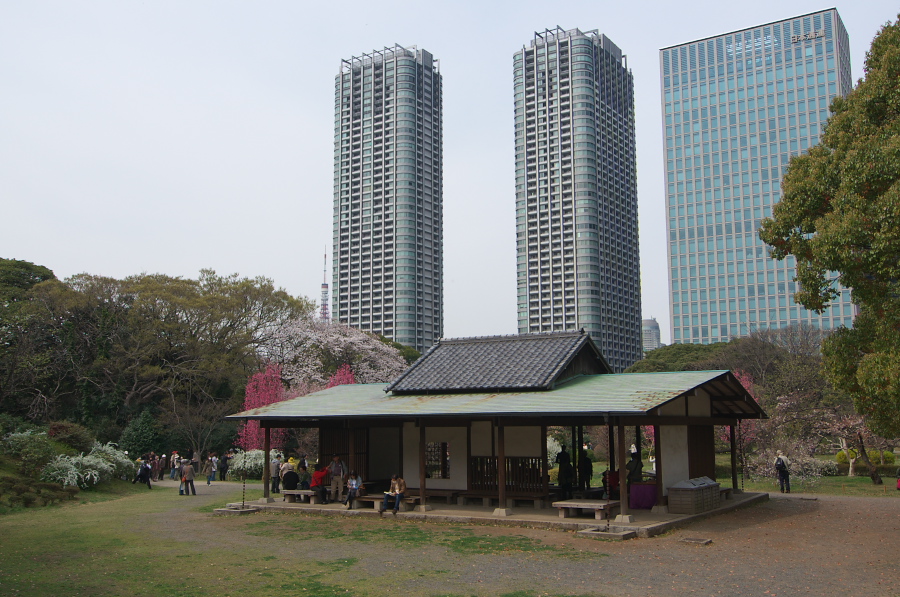 IMGP9973.jpg(367670 byte)