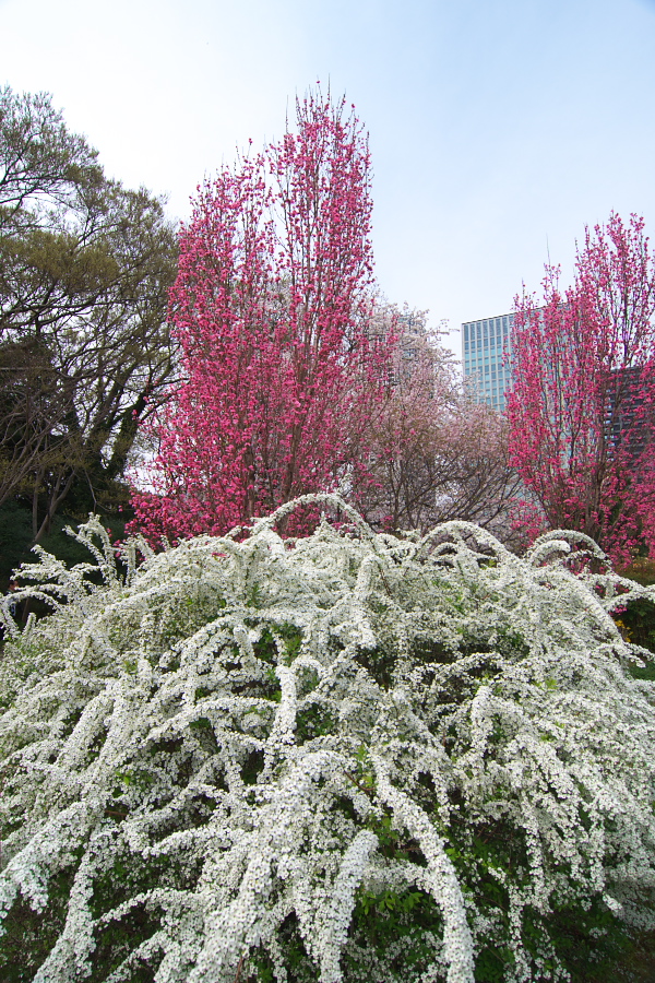 IMGP9981.jpg(592237 byte)